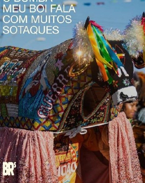 O bumba meu boi fala com muitos sotaques